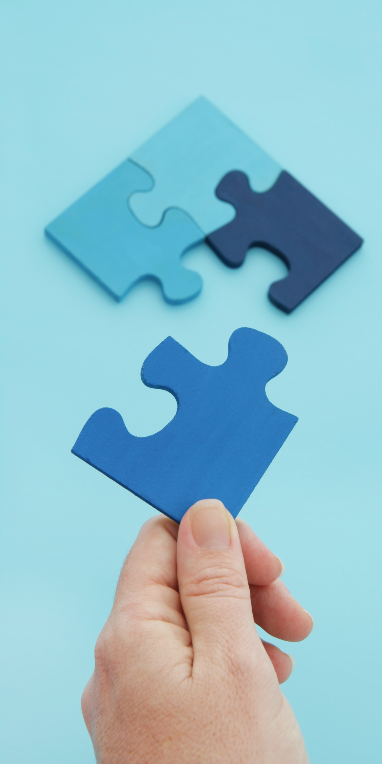 Services Illustration